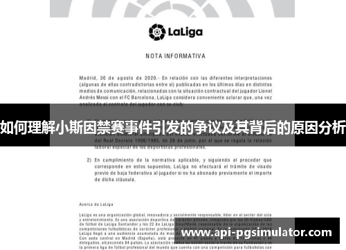 如何理解小斯因禁赛事件引发的争议及其背后的原因分析