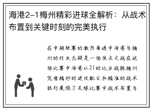 海港2-1梅州精彩进球全解析：从战术布置到关键时刻的完美执行