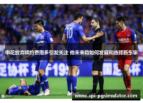 申花放弃续约费南多引发关注 他未来将如何发展和选择新东家