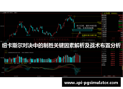纽卡斯尔对决中的制胜关键因素解析及战术布置分析