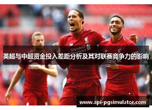英超与中超资金投入差距分析及其对联赛竞争力的影响