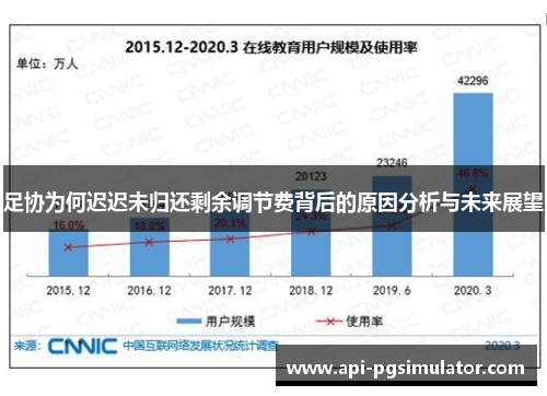 足协为何迟迟未归还剩余调节费背后的原因分析与未来展望