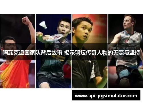 陶菲克退国家队背后故事 揭示羽坛传奇人物的无奈与坚持
