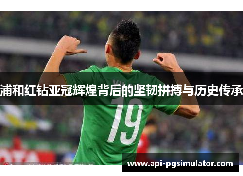 浦和红钻亚冠辉煌背后的坚韧拼搏与历史传承