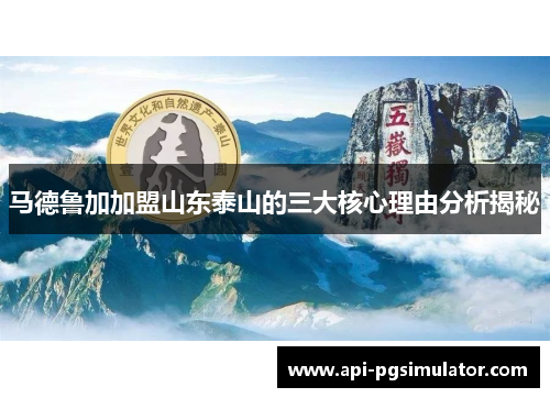 马德鲁加加盟山东泰山的三大核心理由分析揭秘