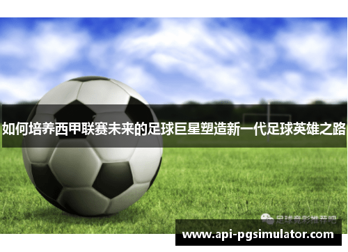 如何培养西甲联赛未来的足球巨星塑造新一代足球英雄之路